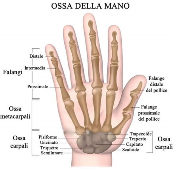 Speciale Calcio e salute, la frattura