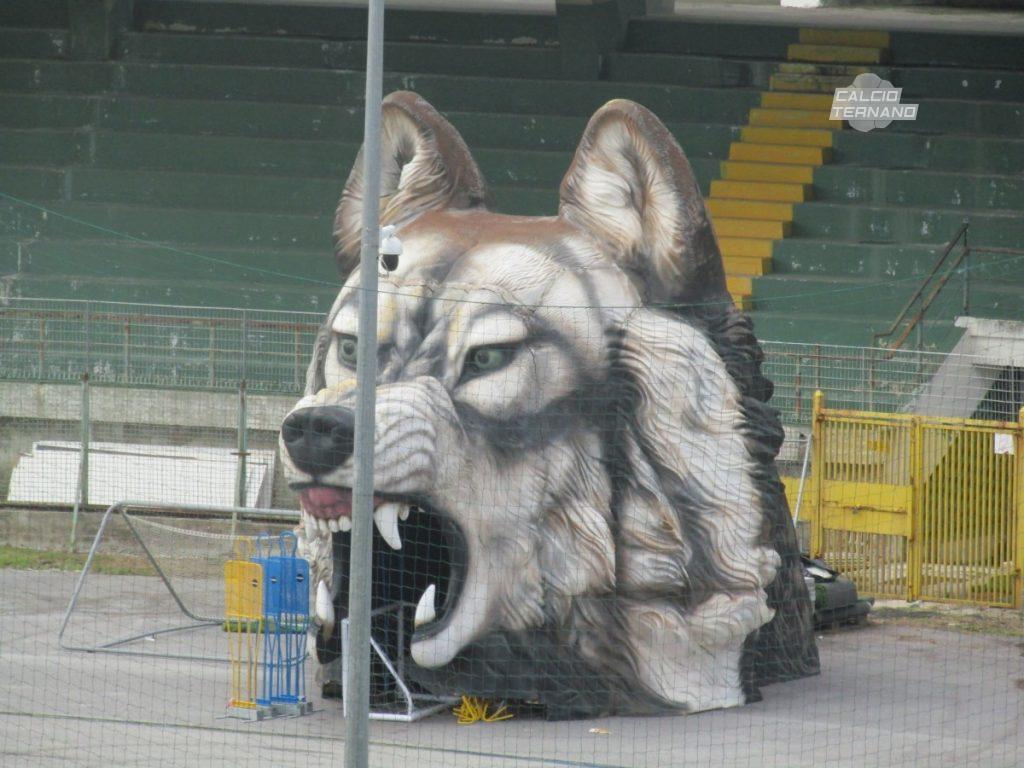 Il lupo all'entrata del campo dell'Avellino